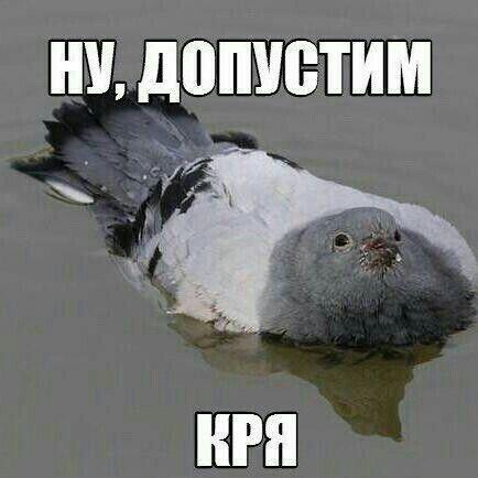 Гав