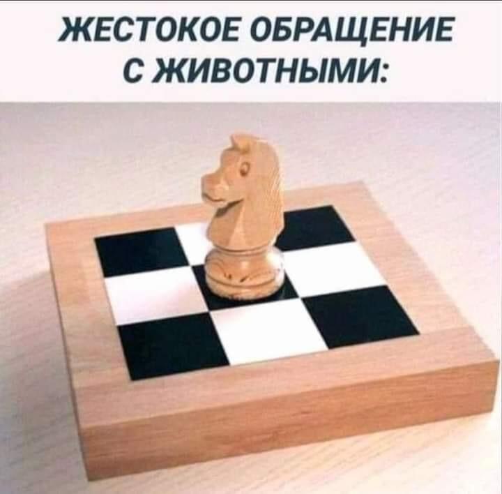 Кто понял тому конфетку
