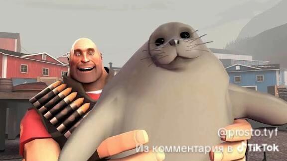 Хз что постить, поэтому держите тюленьчика