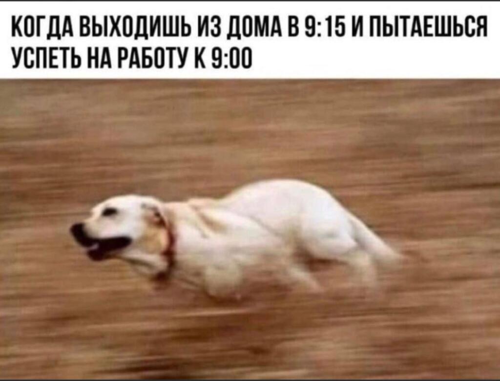 Мем без подписи