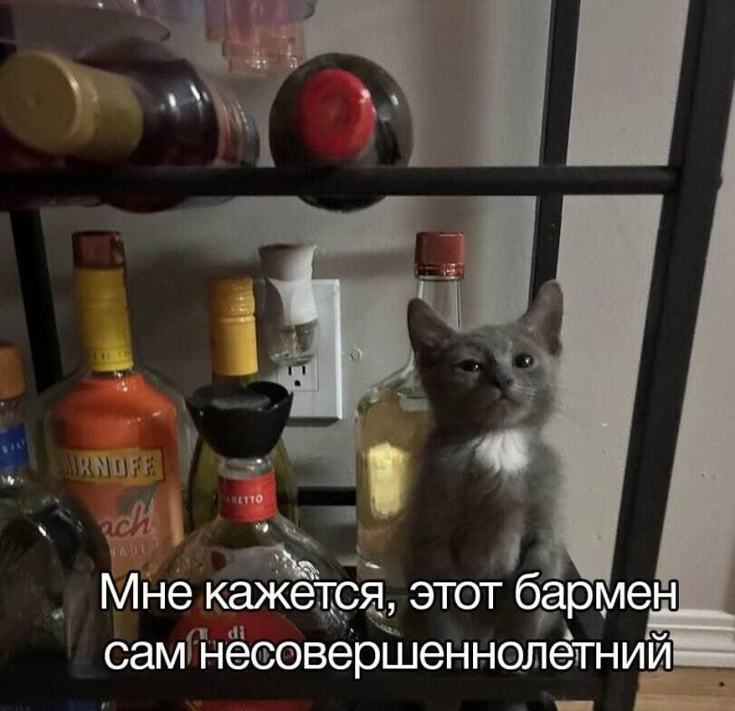 Мем без подписи