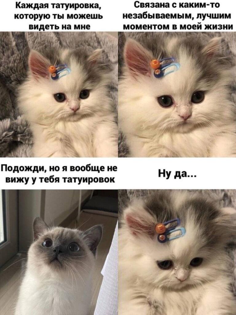 жиза