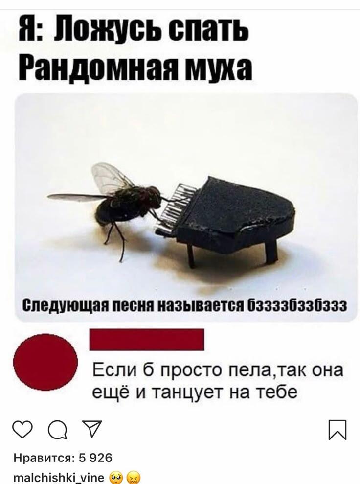 Причём в самую хорошую погоду летом появляются