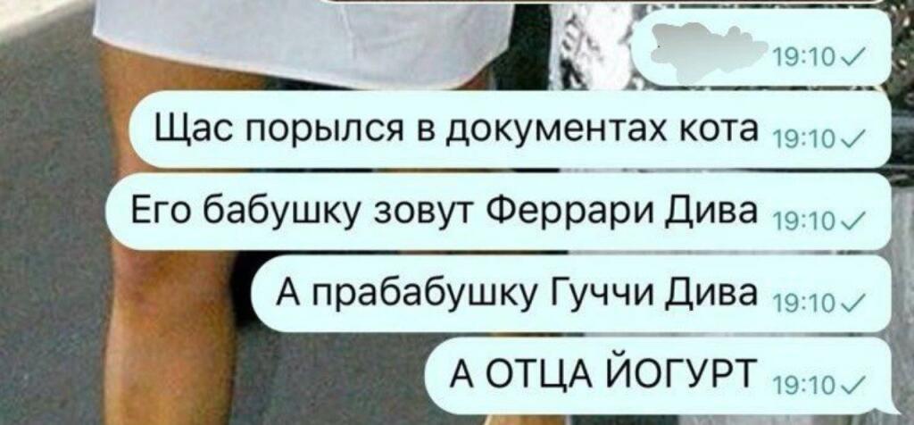 Некоторые записки из жизни одного кота