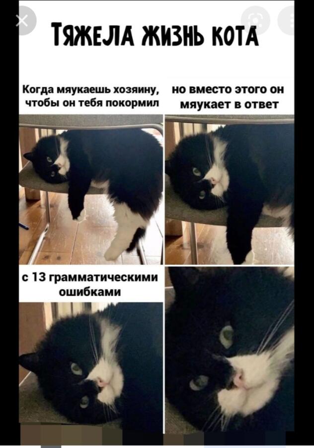Спасибо за 0 подписчиков!