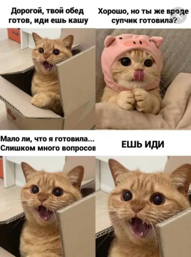 Мем от Lyagushca