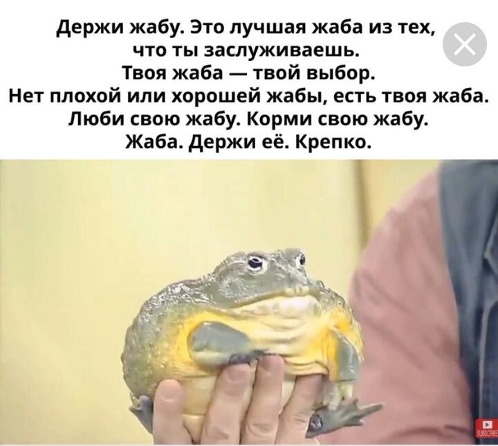 Мем от Lyagushca