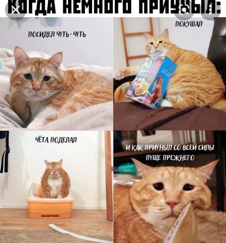 Я каждый день осенью