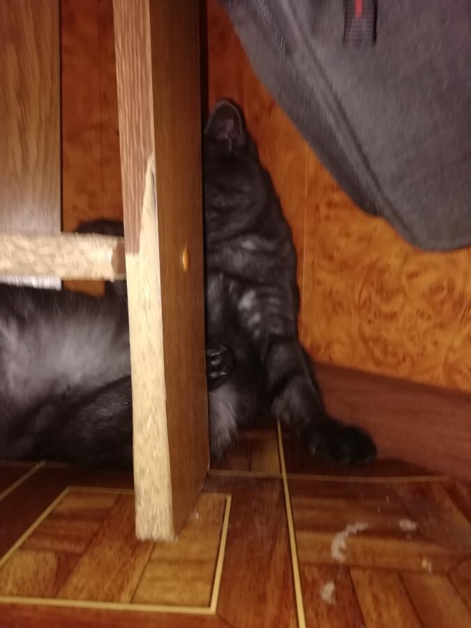 Ууу мемы пришли мои сюда.