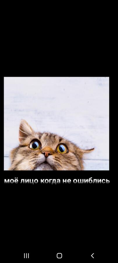 Учитель: правильно ли он ответил?
все: нет