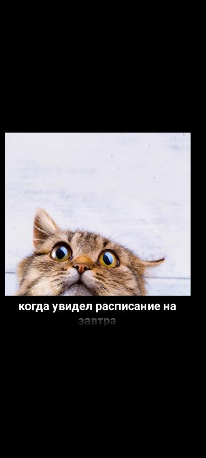У кого жиза?