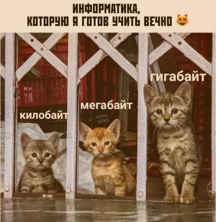 Мем от Korus