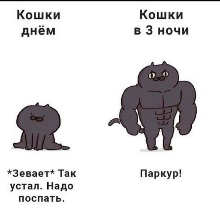 Мем от Korus