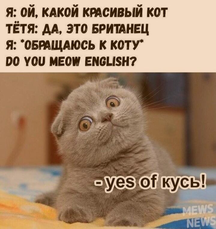 Мем от Korus