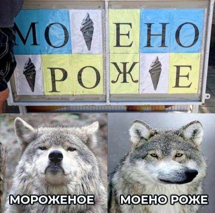 Мем от Korus