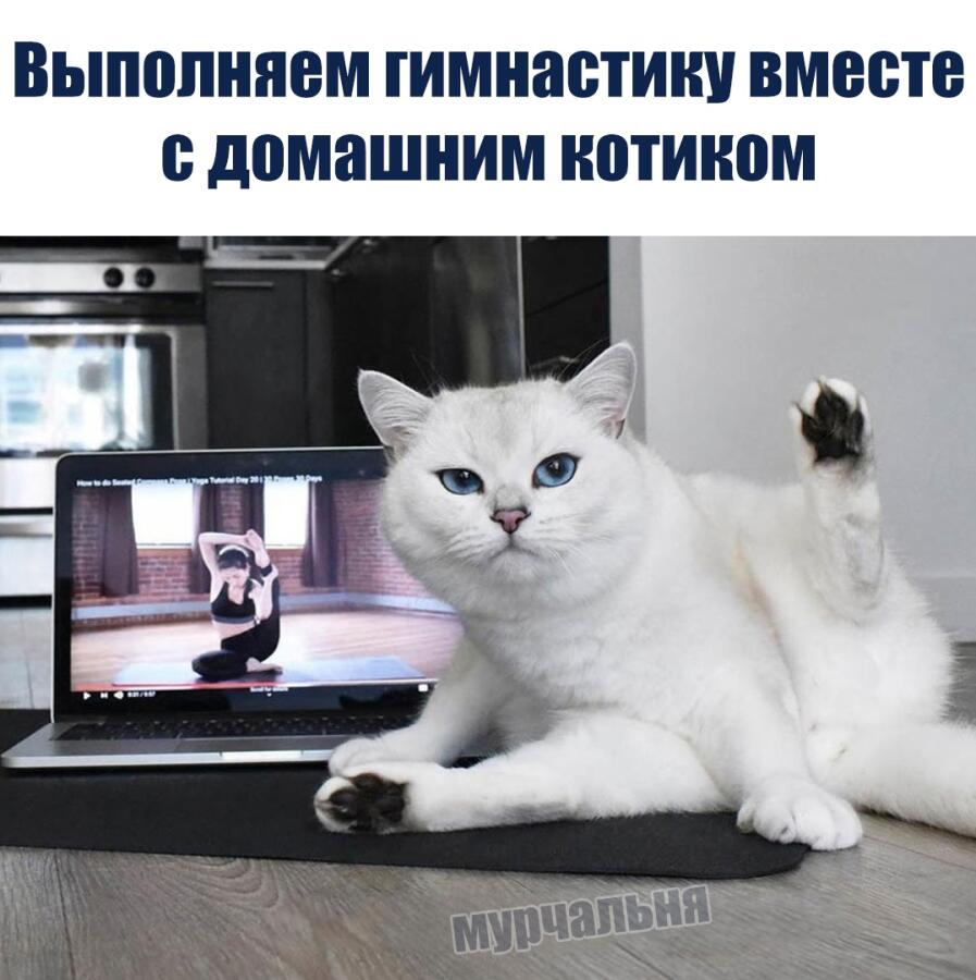 упражение хоба по 5 раз 2 подхода в день 
делайте это упражнение 3 раза в день и вам не будет болеть спина