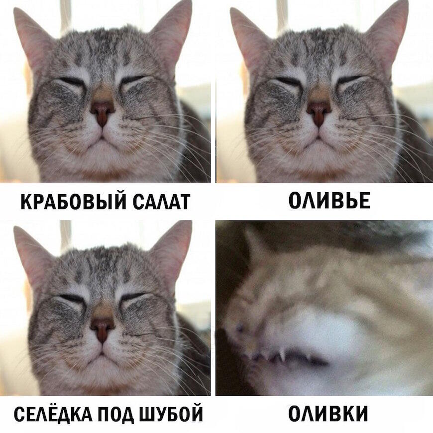 Текст