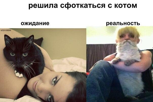 Ахахахха котик борода😂🤣