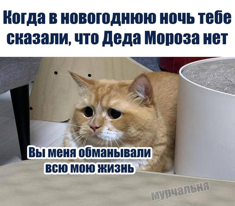 Жизя