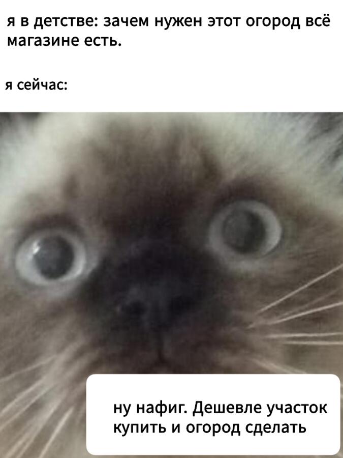 Мем от VLADOS