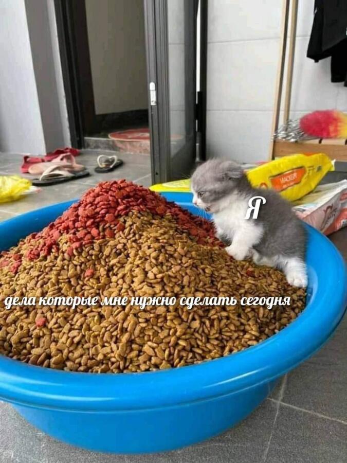 ЖИЗА