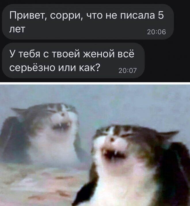 Мем не мой друг скинул сказал что этот мем прикольный как вам напишите...