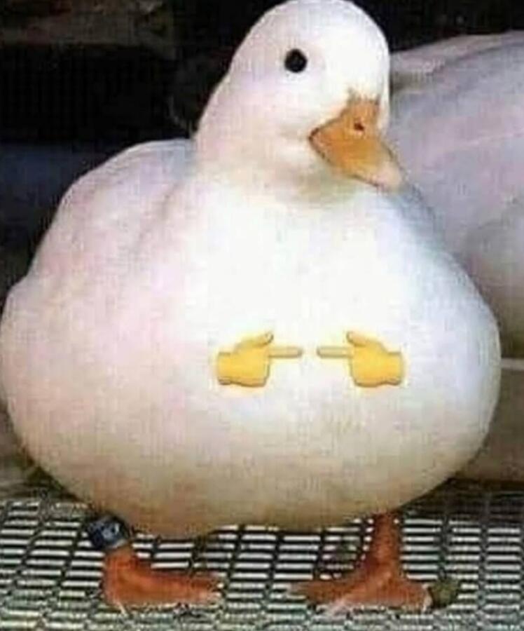 это я после того что что то натворил