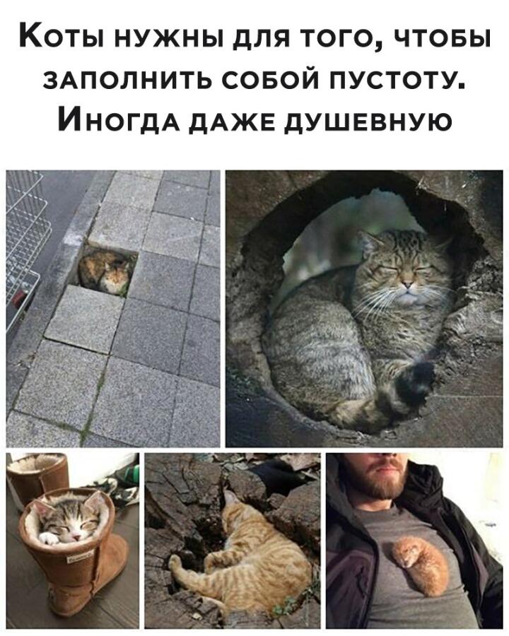Мем от 🎄Коренной Англичан 🎄