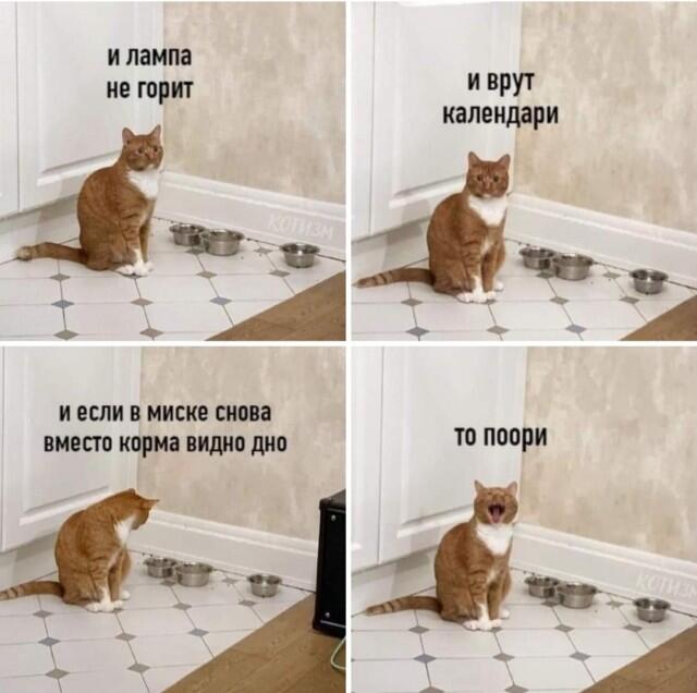 Мем от 🎄Коренной Англичан 🎄