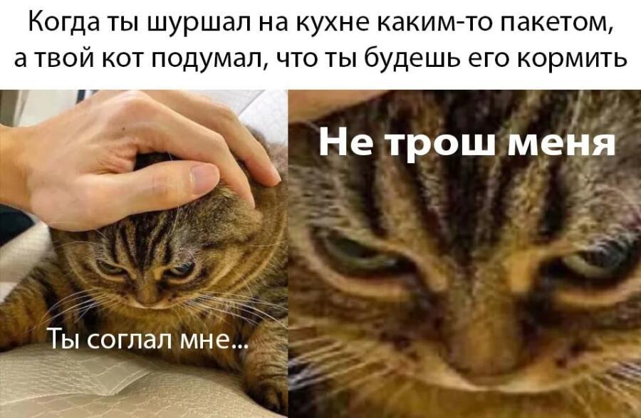 Мем от 🎄Коренной Англичан 🎄