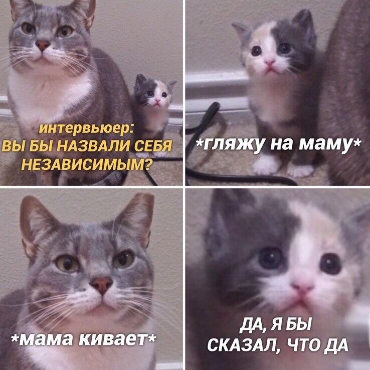 Мем от 🎄Коренной Англичан 🎄