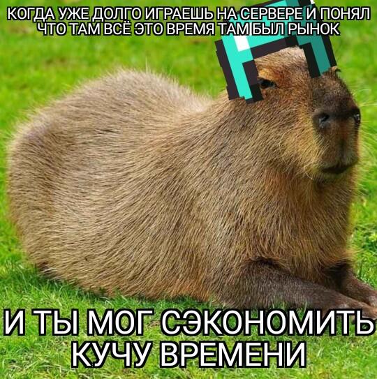 Мем от Atikin Bufo viridis