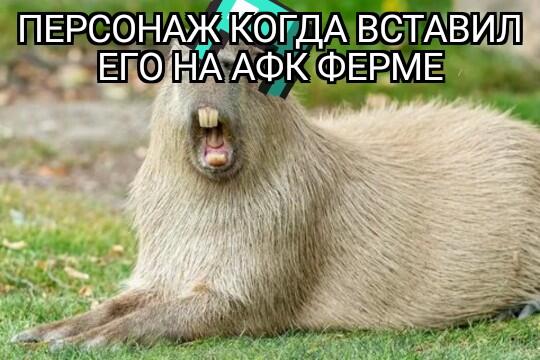 Мем от Atikin Bufo viridis