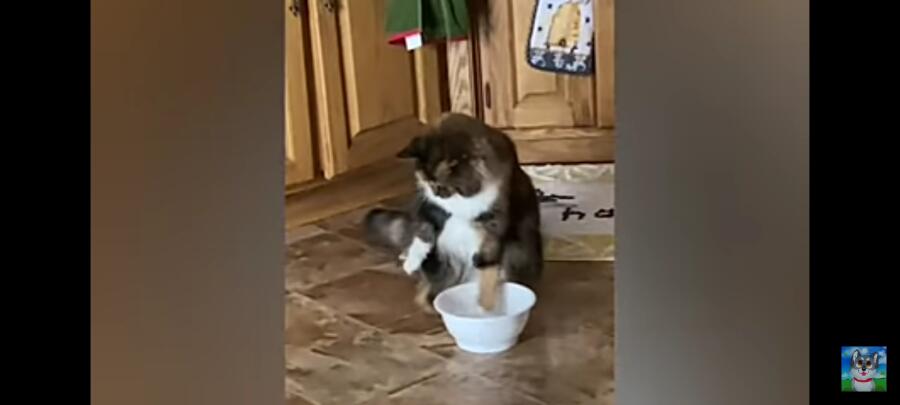 Как отдыхает Моя мама и как я работаю