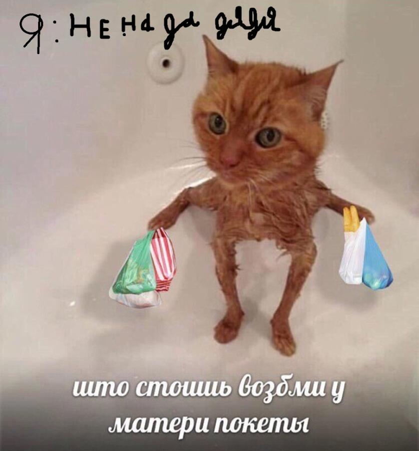 я прихажу за хлебам в магазин мама которая купила несколько покетов и говарит я