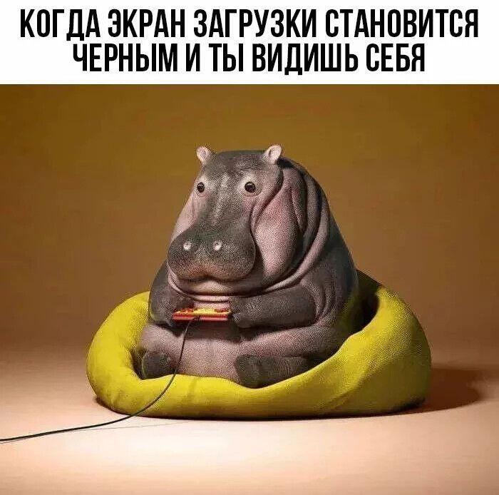 Зачем вы выложили моё сэлфи