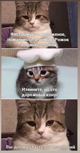 А я тут не вижу не рожка не конуса