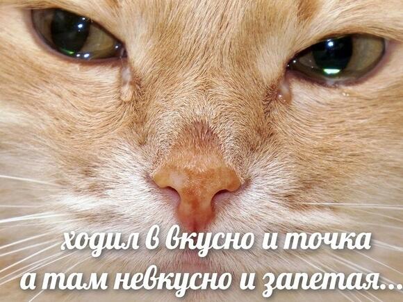 И так всегда