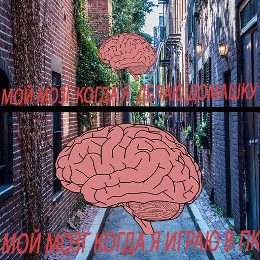 мой мозг