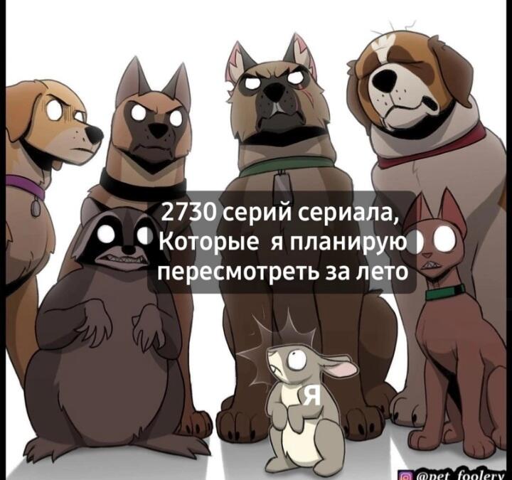 Мем без подписи