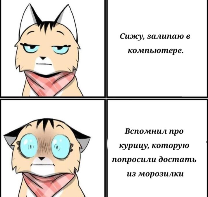 Мем без подписи