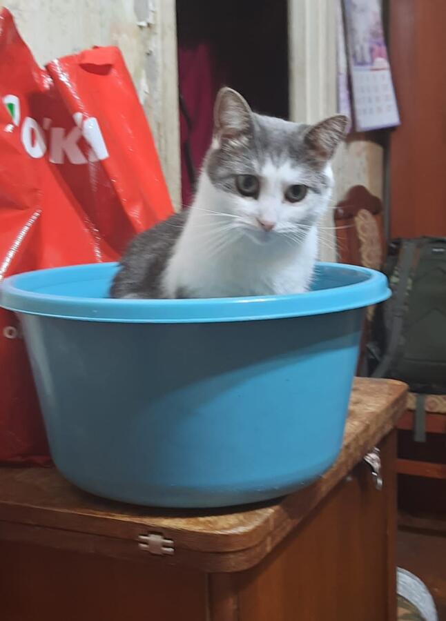 И так вы не набрали всего лишь 2 ЛАЙКА чтоб увидеть этого кусаку но та...