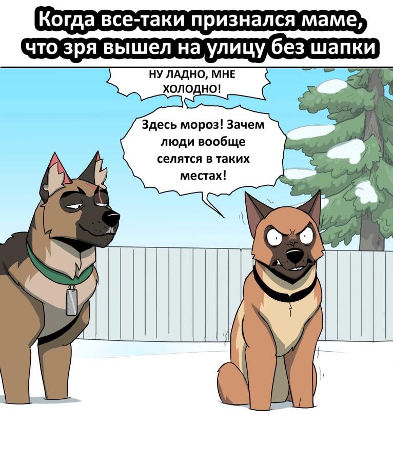 Когда признался маме что зря пошёл  без шапки