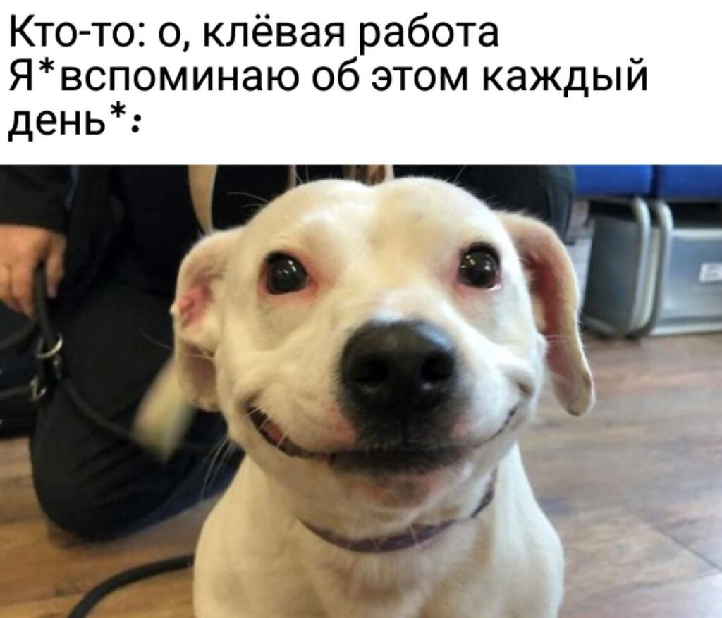 Мем без подписи