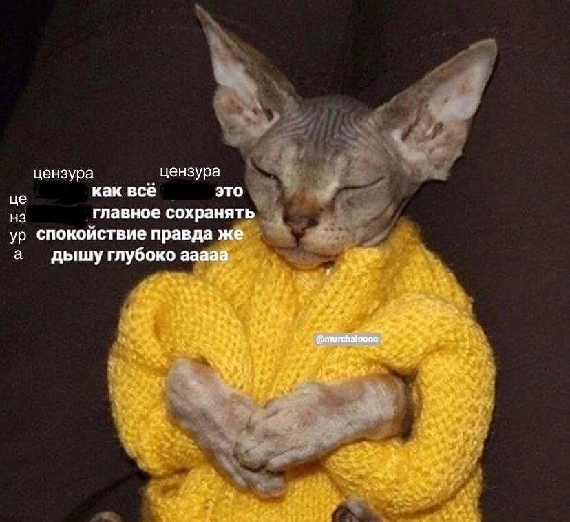 Мем от Блохастик