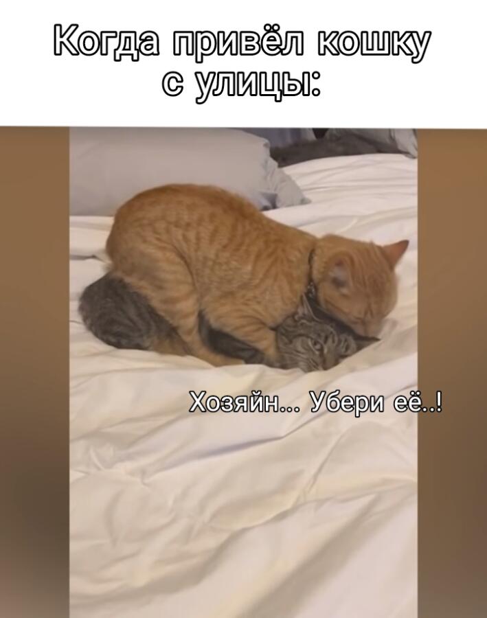 Логично