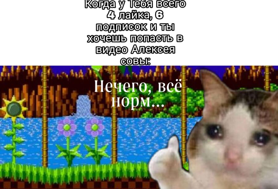 Продвигайте меня пожалуйста!