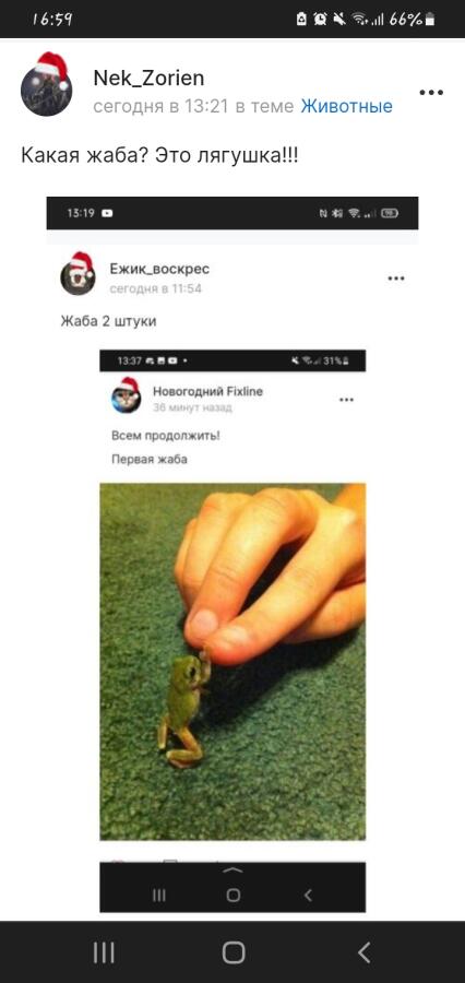 И что что это лягушка!? А она может тоже хочет в Египет!