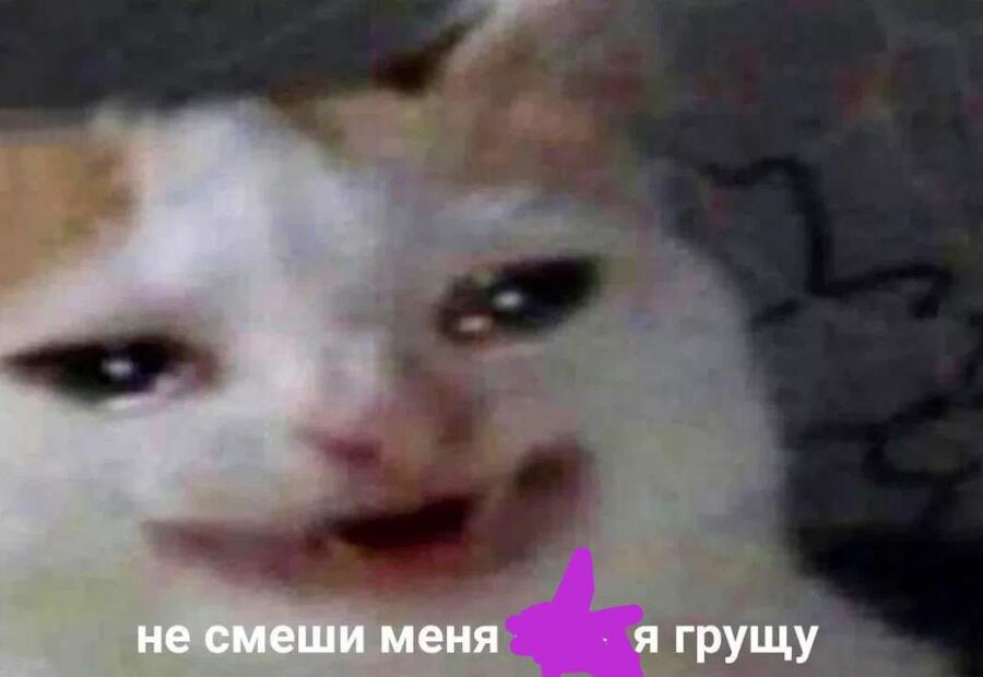 Когда тебя обидили и показывают мемы: