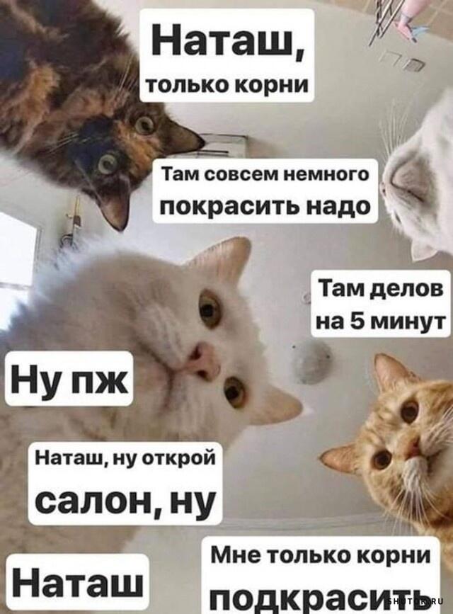 Мем без подписи